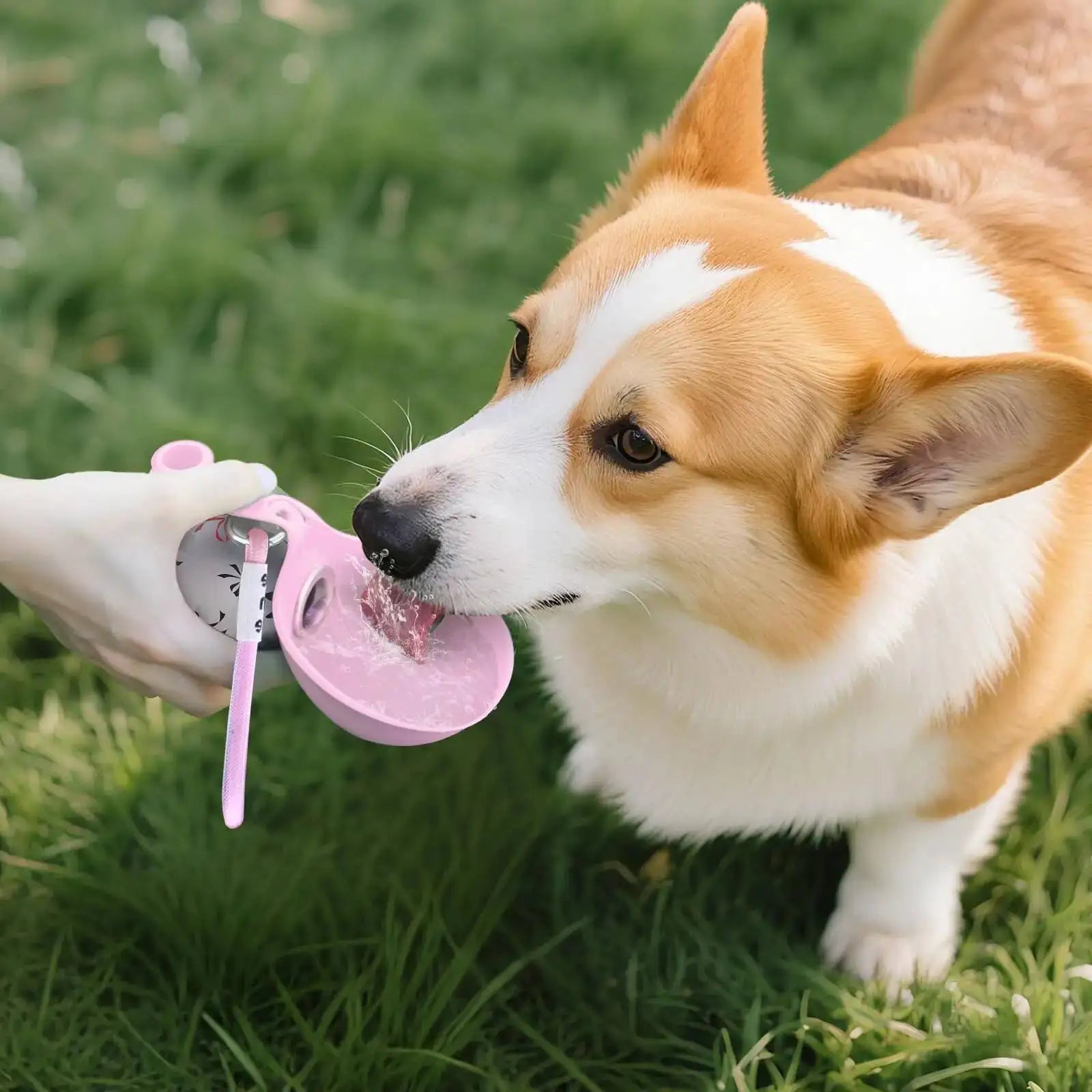 2-in-1 Portable Dog Water Bottle and Food Container